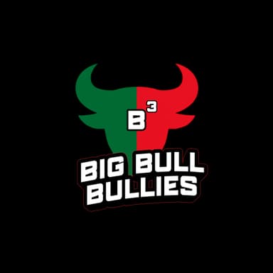 Big Bull Bullies