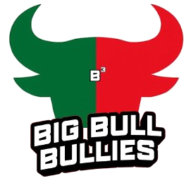 Big Bull Bullies